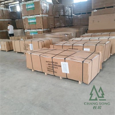 Door Skins for Interior Doors