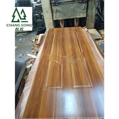 Melamine Moulded Door Skin